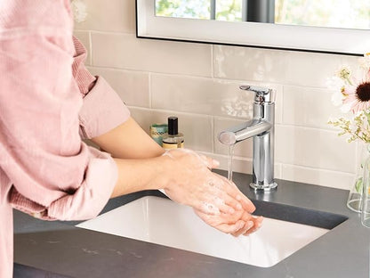 Moen Meena Chrome One-Handle Single Hole Modern Bathroom Sink Faucet with Optional Deckplate and Drain Assembly, 84794