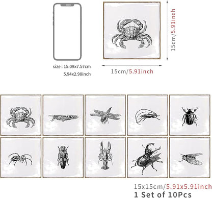 Alwayspon Vinyl Sticker Peel and Stick, Self-Adhesive Wall Tile Transfers Backsplash Sticker Decal for Kitchen Bathroom, 6x6inch/15x15cm 10Pcs, Insects T035