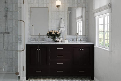 ARIEL Cambridge 66-inch Bathroom Vanity Base Cabinet,Solid Wood, 4 Soft Closing Doors, 6 Dovetail Drawers, Espresso