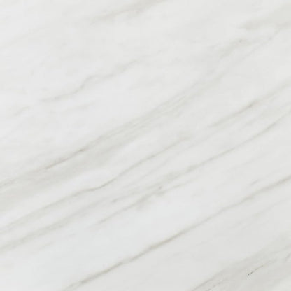 Daltile Perpetuo 12" x 12" Porcelain Marble Look Wall & Floor Tile in Matte Timeless White (13 pieces per carton) (12.22 sqft per carton)