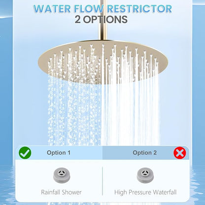 12 inch Brushed Gold Rainfall Shower Head - All Metal Stainless Steel Full Body Round Rain Shower with 120 Silicone Nozzles Modern Bathroom