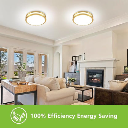 13inch LED Flush Mount Ceiling Light Fixture Dimmable Gold, Easy Install LED Ceiling Lamp Fixture Without Flicker, Super Bright 36W 3600LM 5CCT Warm to White Light 3000K to 6000K 2-Pack