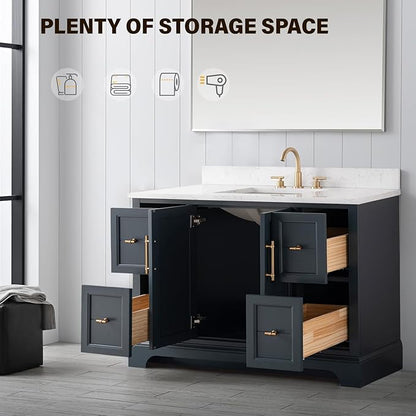 Vanity Art 48 Inch Single Sink Bathroom Vanity with Stone Top | Undermount Rectangular Sink Cabinet Soft Closing Doors, Dovetailed Drawers, No Mirror VA5048-VSB