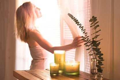 Chesapeake Bay Candle PT40886 Scented Candle Awaken + Invigorate (Lemongrass Eucalyptus) Medium Green Home Décor