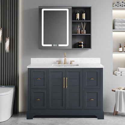 Vanity Art 48 Inch Single Sink Bathroom Vanity with Stone Top | Undermount Rectangular Sink Cabinet Soft Closing Doors, Dovetailed Drawers, No Mirror VA5048-VSB