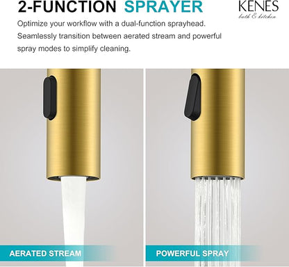 KENES Brushed Gold Single Handle Bathroom Faucet with Pull Out Sprayer, Pull Down Bathroom Sink Faucet with Sprayer, Vanity Bar Faucet with Pop Up Drain & Deck Plate, KE-9065B-4