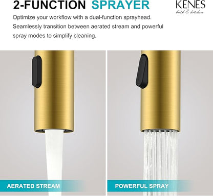 Brushed Gold Centerset 2 Handle Bathroom Faucet with Pull Out Sprayer | Pull Down Bathroom Faucet with Pop Up Drain & Supply Lines, Lead-Free cUPC & NSF Certified, 3 Hole Faucet for Vanity RV Bar