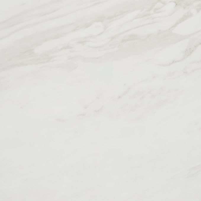Daltile Perpetuo 24" X 24" Porcelain Marble Look Floor Tile in Matte Timeless White (4 pieces per carton) (15.20 sqft per carton)
