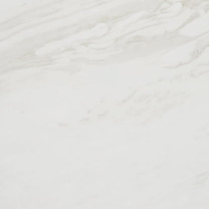 Daltile Perpetuo 24" X 24" Porcelain Marble Look Floor Tile in Matte Timeless White (4 pieces per carton) (15.20 sqft per carton)