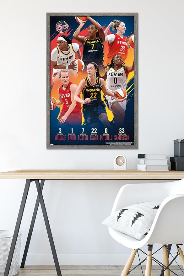Trends International WNBA Indiana Fever -Team 24 Wall Poster, 34L x 22.4W, Barnwood Framed Version