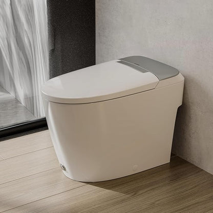 CD-W10V Non-Electric Bidet Toilet, Elongated, Silver | MAP 1000g Powerful Flush Smart Toilet, ADA comfort height, air pressure assisted,soft open/close,Foot-kick Flush,1.0 GPF