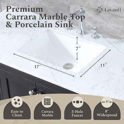 Lavanti Dumiat 60 Inch Bathroom Vanity with Sink – Stylish Espresso Vanity Bathroom with Storage Cabinet – Modern Bathroom Vanities with Double Vanity Sink & Carrara Marble Countertop