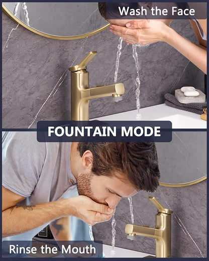 Pull Out Bathroom Faucet, Single Handle Bathroom Sink Faucet with Pull Out Sprayer, Bathroom Faucet for Sink, with Pop-up Drain & Deck Plate 1 or 4-inch Centerset 3 Hole, Gold