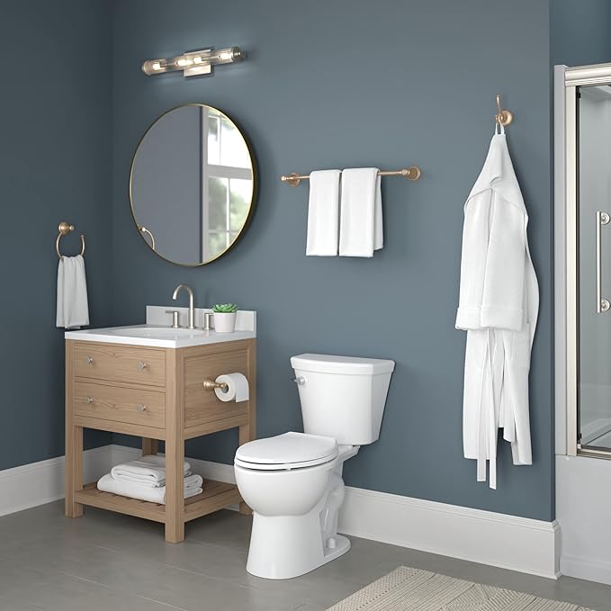 DELTA Cassidy Toilet Paper Holder, Champagne Bronze, Bathroom Accessories, 79750-CZ 3.63 x 8.38 x 3.63 Inches