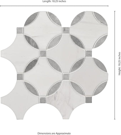 MSI Bianco Dolomite 11 in. x 11 in. Lola Polished Marble Tile for Kitchen Backsplash, Floor Tile, Wall Tile for Bathroom, Shower Wall Tile, Mesh Mounted Mosaic Tile
