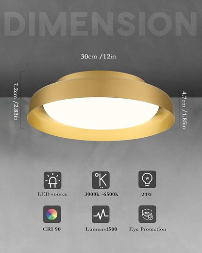Ken & Ricky Flush Mount Ceiling Light Fixture, Led Dimmable 24w for Bedroom Kitchen Bathroom Laundry Hallway Entryway,Remote Control (Brushed Gold,12Inch,2PK)