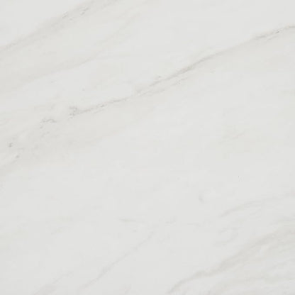 Daltile Perpetuo 24" X 24" Porcelain Marble Look Floor Tile in Matte Timeless White (4 pieces per carton) (15.20 sqft per carton)