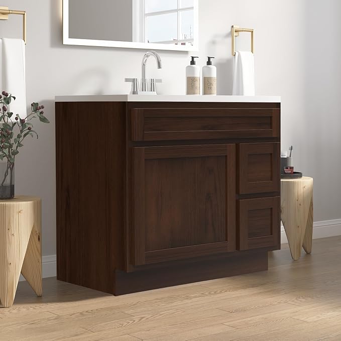 Vanity Art 36 Inch Single Shutter Door Bathroom Vanity Base Cabinet with 2 Functioning Shaker Drawers, Strudy Floor Mount Storage Cabinet Organizer for Bedroom, Living Room, Kitchen, VA4036-2R-B