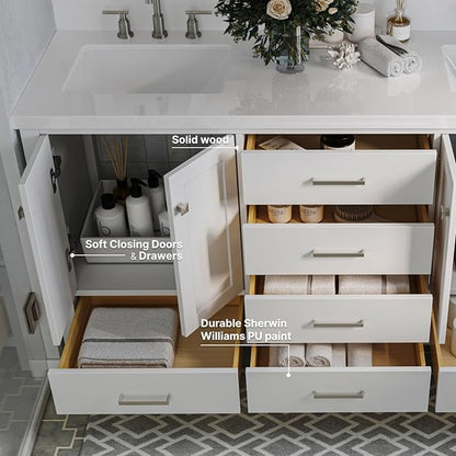 ARIEL Cambridge 66-inch Bathroom Vanity with Sink,Solid Wood, 1.5-inch Pure White Quartz Countertop & Backsplash, Double Rectangular Porcelain Sink, 4 Soft Closing Doors, 6 Dovetail Drawers, White