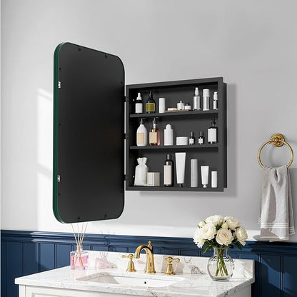 Casaphoria 30" H x 20" W Bathroom Medicine Cabinet with Mirror, Metal Frame Wall Medicine Cabinets Mirrors, Wall Mirror Cabinet, Green