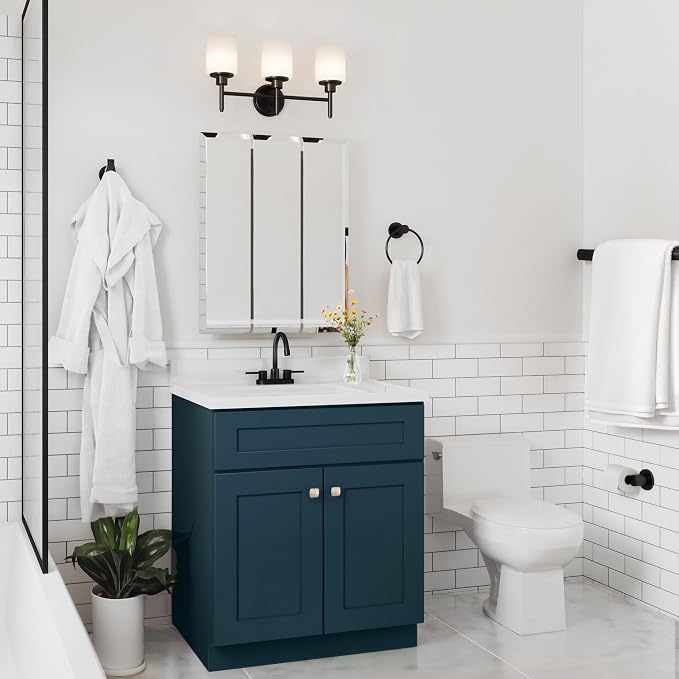 Design House Brookings Bathroom Vanity, 30", Dark Night | Adjustable Hinges, Freestanding, Contemporary/Modern, Wood, Bath, 215442