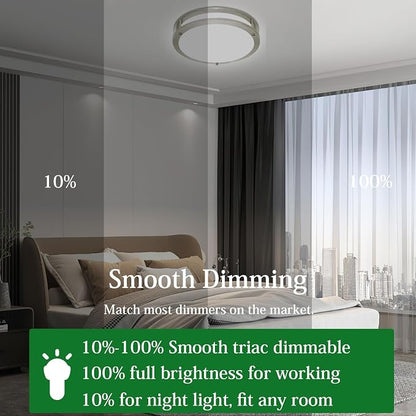 10inch LED Flush Mount Ceiling Light Fixture Dimmable Brushed Nickel, Easy Install LED Ceiling Lamp Fixture Without Flicker, Super Bright 24W 2400LM 5000K 2-Pack