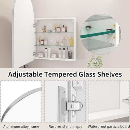 FKWin Medicine Cabinet Mirror, Surface Mount for Small Bathroom, 20x32 Inch | Mirror Medicine Cabinet, Large Storage, Adjustable Shelves, Reversible Door, Space-Saving Design for Small Bathroom, Silver