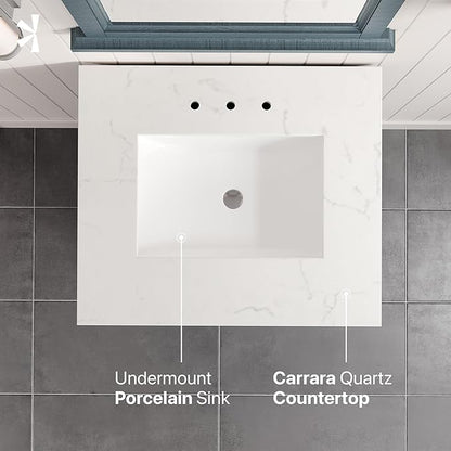 Eviva Britney 24 in. Ash Blue Single Sink Bath Vanity with Carrara Quartz Top and Undermount Porcelain Sink