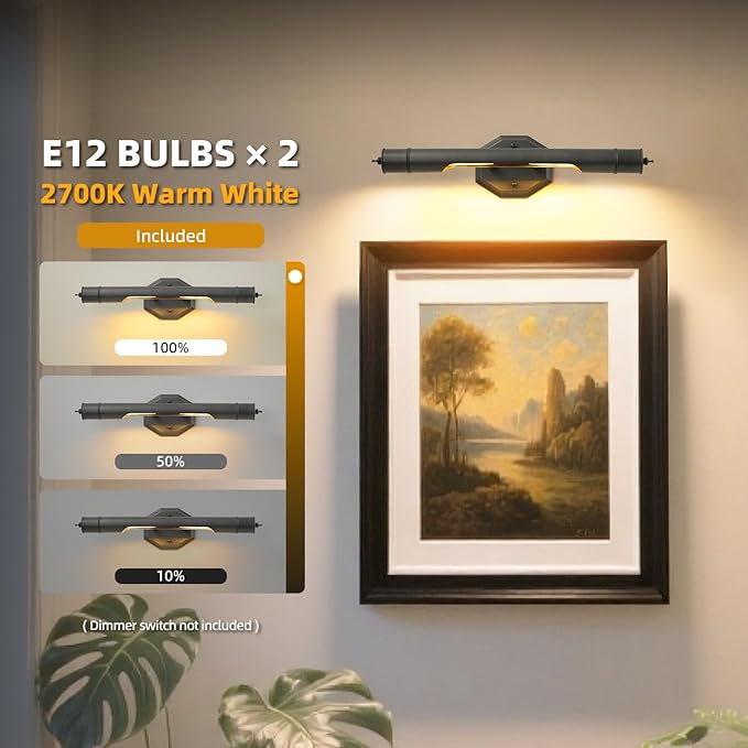 Black Vintage Picture Light Hardwired - Art Deco Lights Over Mirror Portrait Pictures Frame - Wall Sconces Lighting Fixtures for Museum Bathroom Vanity Gallery Artwork Library Cuadros Painting Above