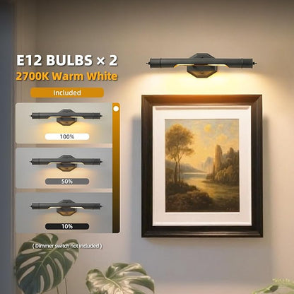 Black Vintage Picture Light Hardwired - Art Deco Lights Over Mirror Portrait Pictures Frame - Wall Sconces Lighting Fixtures for Museum Bathroom Vanity Gallery Artwork Library Cuadros Painting Above