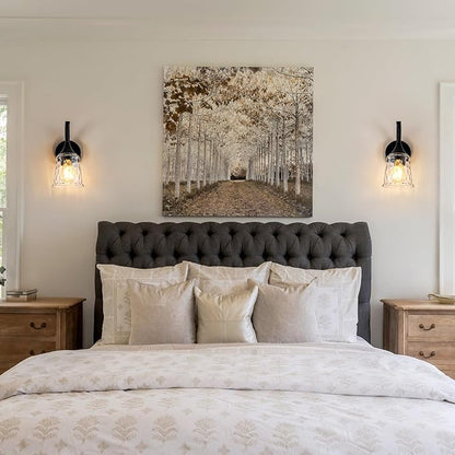 Black Wall Sconce，Modern Bathroom Wall Sconce Lights with Clear Glass Shade, Farmhouse Vanity Light Fixtures for Bedroom Mirror Hallway Entryway