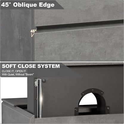 Wall Mounted 30 Inch Bathroom Vanity with Sink, Floating Vanity Bathroom, Single Sink Bathroom Vanity, 2 Drawers, Resin Integrated Sink (Dark Birch)