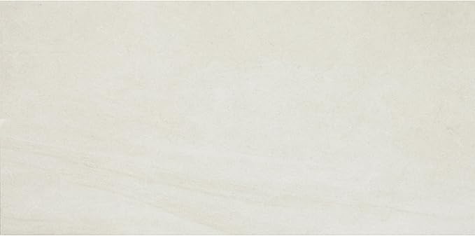 Daltile Wanderwise 12 x 24 Glazed Porcelain Floor Tile (9 PC Per Carton) (17.60 SQFT Per Carton)