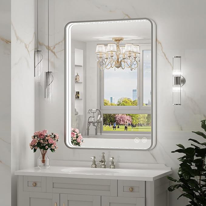 LED Bathroom Mirror, 20x28 Inch, Brushed Silver Framed | ETL Listed Anti-Fog,Dimmable,Horizontal & Vertical,Wall Mounted,Memory Function,Ideal for Bathroom,Vanity