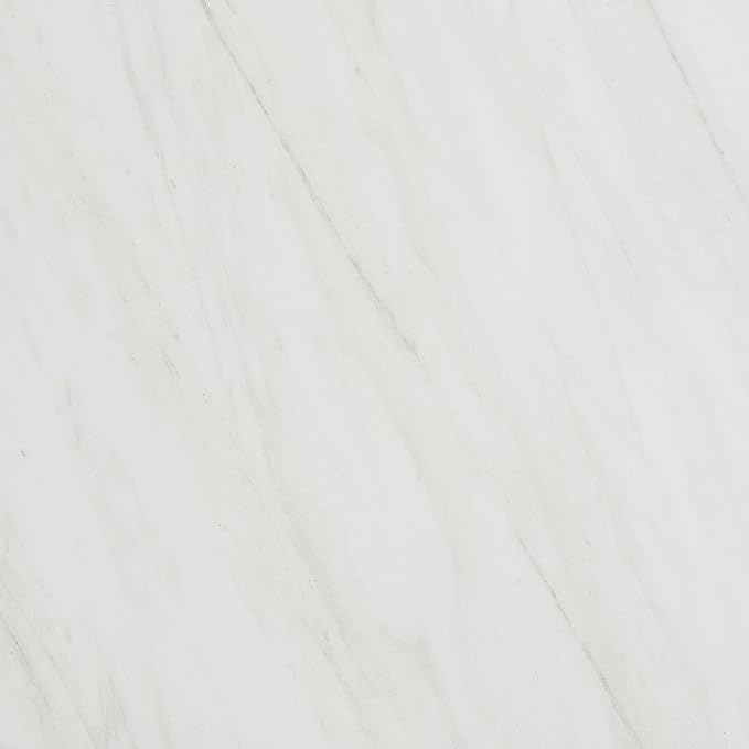 Daltile Perpetuo 24" X 24" Porcelain Marble Look Floor Tile in Matte Timeless White (4 pieces per carton) (15.20 sqft per carton)