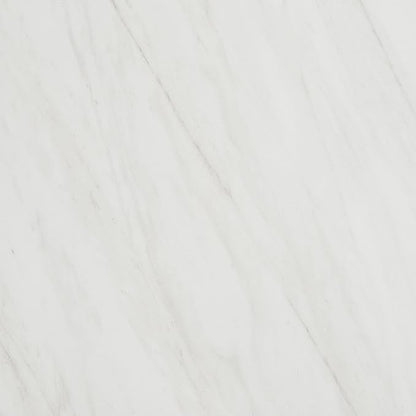 Daltile Perpetuo 24" X 24" Porcelain Marble Look Floor Tile in Matte Timeless White (4 pieces per carton) (15.20 sqft per carton)