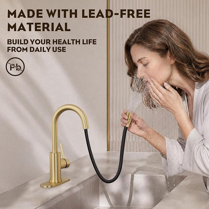 High Arc Pull-Down Bathroom Faucet, Brushed Gold Single Handle with Pull Out Sprayer & Pop-Up Drain, 1 or 3 Hole 2 Model RV Bar Laundry Utility Sink Faucet with Deck Plate, WE08CL-ZY-BG