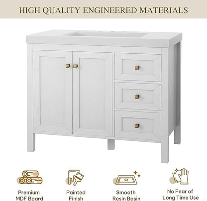 DWVO 42 Inch Bathroom Vanity with Sink, Modern Bathroom Storage Cabinet with Resin Basin, Three Holes, 2 Doors & 3 Drawers