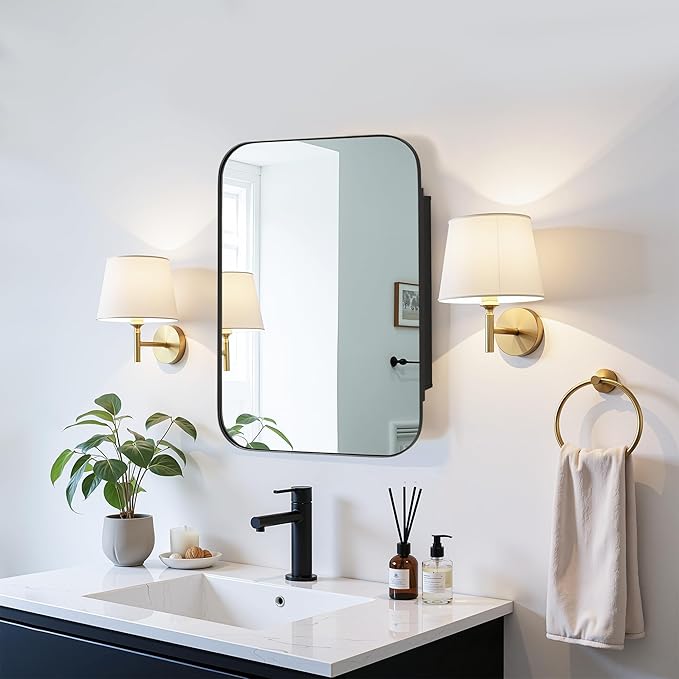 Casaphoria 24" H x 16" W Bathroom Medicine Cabinet with Mirror, Metal Frame Wall Medicine Cabinets Mirrors, Wall Mirror Cabinet Black