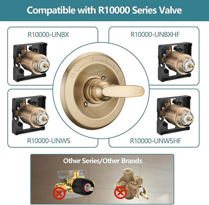 Shower Trim Kit Replacement for 13/14 Series, Shower Cover Plate with Handle fit Champagn Gold, Shower Cover Plate with Handle (Valve& Catridge Not Inclued)