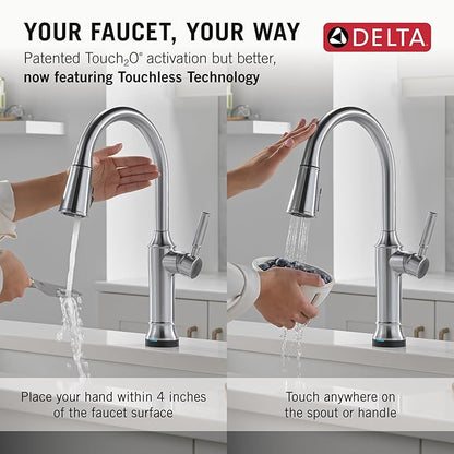 Delta Renaldi Kitchen Faucet with Pull Down Sprayer, Brushed Nickel Kitchen Sink Faucet, Delta ProClean, Lumicoat Arctic Stainless 9184TL-AR-PR-DST