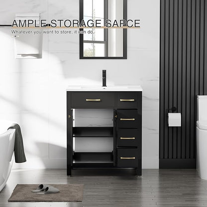 LUCKWIND 30" Modern Bathroom Vanity with Sink, Painted Storage Cabinet with Undermounted Sink, Two Doors and Three Drawers, Include Faucet Without Mirror, Black