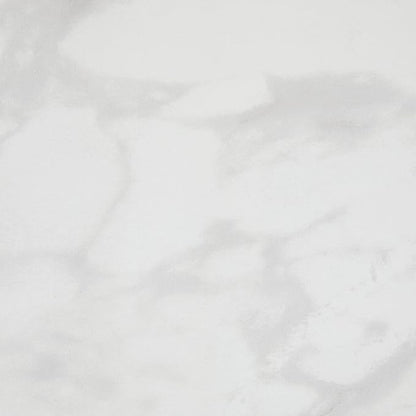 Daltile Perpetuo 24" X 24" Porcelain Marble Look Floor Tile in Polished Brilliant White (4 pieces per carton) (15.20 sqft per carton)