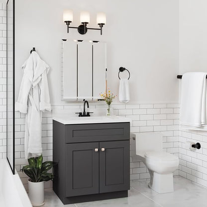Design House Brookings Bathroom Vanity, 30", Urbane Bronze | Adjustable Hinges, Freestanding, Contemporary/Modern, Wood, Bath, 216002
