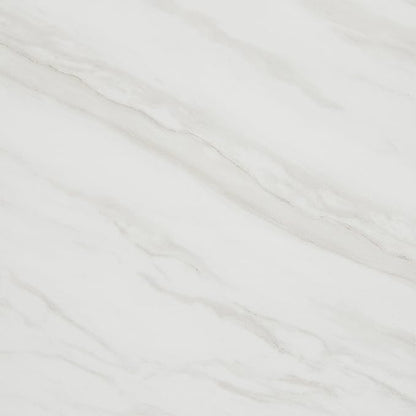 Daltile Perpetuo 12" X 12" Porcelain Marble Look Floor & Wall Tile in Polished Timeless White (13 pieces per carton) (12.22 sqft per carton)