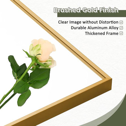 Dewfig Mirror Full Length, 64"X21" Floor Mirror, Rectangle Shape, Gold | Aluminum Alloy Frame Full Body Mirror, HD Shatterproof Tempered Glass, Lean/Stand/Wall for Living Room,Bedroom, Dressing Room