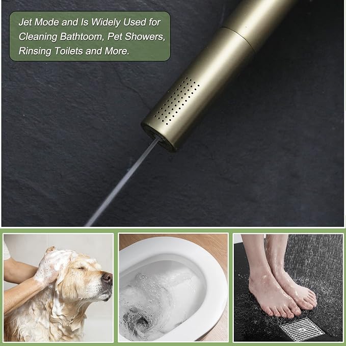 Brushed Gold Shower Head 2 in 1 Function High Pressure 7 inch Hand Held Shower Head Dual Modes High Flow Shower Wand with 59 inch Hose and Shower Bracket