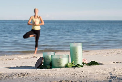 Chesapeake Bay Balance + Harmony Scented Candles Water Lily Pear Fragrance Medium Size Natural Soy Wax 50 Hours Burn Time, 8.8oz (Pack of 8)