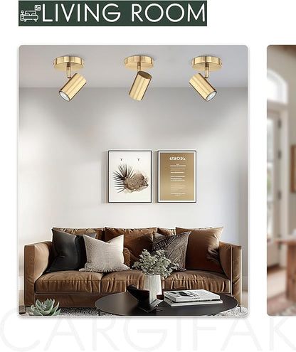 Gold Wall Sconce, Modern Wall Light Fixture, LED Track Lighting with GU10 Bulb for Bedroom Entryway Bathroom Kitchen, SL4830-1W-BB