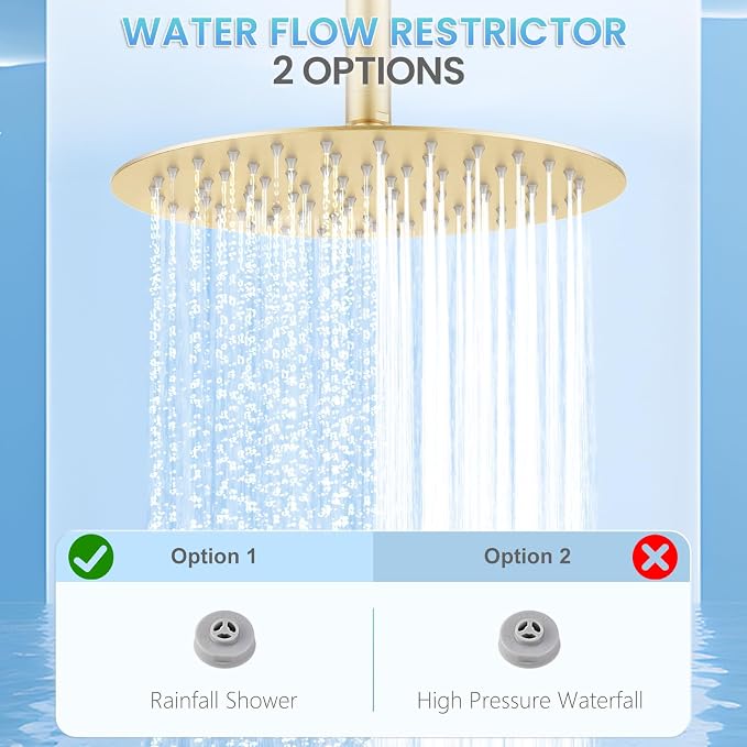 10 Inch Brushed Gold Round Rain Shower Head, All Metal Stainless Steel Rainfall Shower Heads with 100 Anti-Clog Silicone Nozzles, Wall or Ceiling Mount